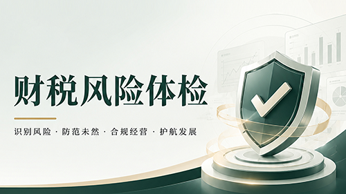 1财税风险体检-封面.png