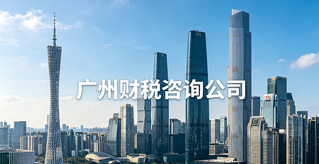 广州财税咨询公司3.png